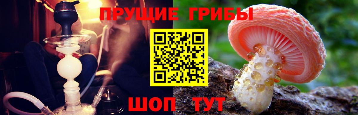 Псилоцибиновые грибы мухоморы  Вход с VPN  где можно купить наркотик  Серов 